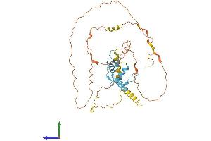 Protein Structure (PS) image for Sp5 Transcription Factor (SP5) (AA 1-398) protein (His tag) (ABIN7546200)