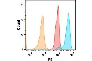 5T4 protein is highly expressed on the surface of Expi293 cell membrane. (TPBG 抗体  (AA 32-355))