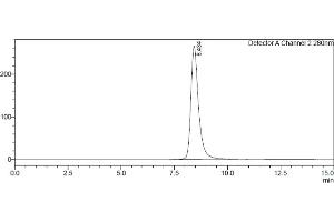 Size-exclusion chromatography-High Pressure Liquid Chromatography (SEC-HPLC) image for Fc Fragment of IgG, Low Affinity IIIb, Receptor (CD16b) (FCGR3B) (AA 17-200) protein (His-Avi Tag,Biotin) (ABIN7536876)