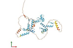 Protein Structure (PS) image for Zinc Finger and SCAN Domain Containing 9 (ZSCAN9) (AA 1-394) protein (His tag) (ABIN7545509)