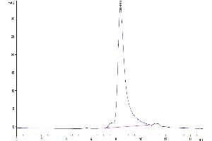 Size-exclusion chromatography-High Pressure Liquid Chromatography (SEC-HPLC) image for Folate Hydrolase (Prostate-Specific Membrane Antigen) 1 (FOLH1) (AA 45-752) protein (His tag) (ABIN7275494)