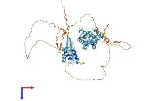 AlphaFold protein structure predicition of Mouse Recombinant Gm12695 Protein, UniprotID A2AGB2