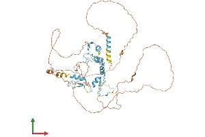 Protein Structure (PS) image for GLIS Family Zinc Finger 2 (GLIS2) (AA 1-524) protein (His tag) (ABIN7554017)