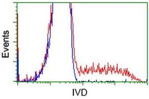 Flow Cytometry (FACS) image for anti-Isovaleryl-CoA Dehydrogenase (IVD) antibody (ABIN1498919) (IVD 抗体)