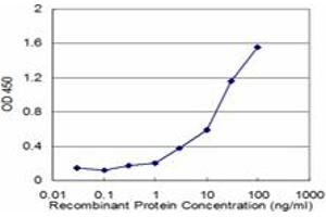 Detection limit for recombinant GST tagged FAAH is approximately 0. (FAAH 抗体  (AA 480-579))