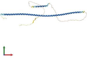 Protein Structure (PS) image for NDE1 (NDE1) (AA 1-344) protein (His tag) (ABIN7560778)