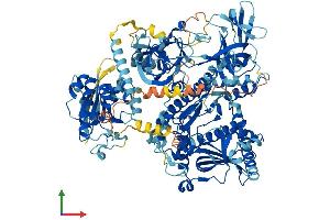 Protein Structure (PS) image for DIS3-Like Exonuclease 1 (DIS3L) (AA 1-1053) protein (His tag) (ABIN7564486)
