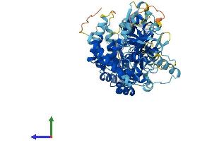 AlphaFold protein structure predicition of Human Recombinant MCMDC2 Protein, UniprotID Q4G0Z9
