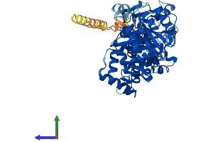 Protein Structure (PS) image for Ras Homolog Gene Family, Member T1 (RHOT1) (AA 1-631) protein (His tag) (ABIN7558526)