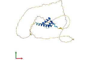 Protein Structure (PS) image for Cone-Rod Homeobox (CRX) (AA 1-299) protein (His tag) (ABIN7562406)