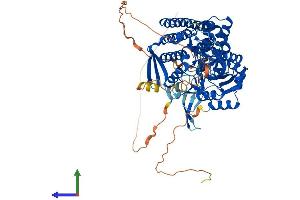 Protein Structure (PS) image for PDX1 C-terminal Inhibiting Factor 1 (PCIF1) (AA 1-704) protein (His tag) (ABIN7550624)