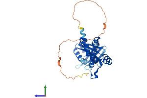 AlphaFold protein structure predicition of Human Recombinant NHEJ1 Protein, UniprotID Q9H9Q4