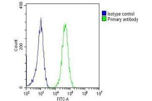 Overlay histogram showing Jurkat cells stained with (ABIN1882239 and ABIN2843357)(green line). (ERK1/2 抗体)