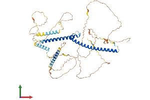 AlphaFold protein structure predicition of Mouse Recombinant Tfe3 Protein, UniprotID Q64092
