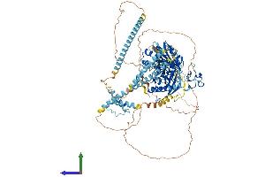 AlphaFold protein structure predicition of Mouse Recombinant Morc3 Protein, UniprotID F7BJB9
