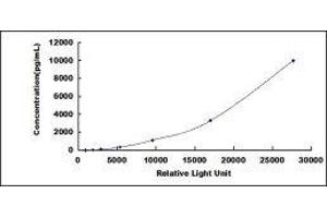 ELISA image for Coagulation Factor II (thrombin) Receptor-Like 1 (F2RL1) CLIA Kit (ABIN1081837)