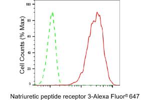 Flow cytometric analysis of Natriuretic peptide receptor 3 expression in C2C12 cells using Natriuretic peptide receptor 3 antibody (ABIN7797702), 1:2,000). (Recombinant NPR3 抗体)