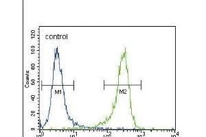 Flow Cytometry (FACS) image for anti-Ubiquitin Carboxyl-terminal Esterase L1 (Ubiquitin Thiolesterase) (UCHL1) (AA 16-46), (N-Term) antibody (ABIN388868)