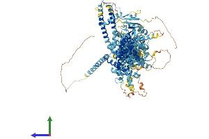 Protein Structure (PS) image for Transient Receptor Potential Cation Channel, Subfamily M, Member 5 (TRPM5) (AA 1-1158) protein (His tag) (ABIN7565101)