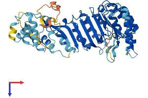 AlphaFold protein structure predicition of Human Recombinant PRAMEF20 Protein, UniprotID Q5VT98