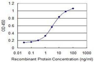 Detection limit for recombinant GST tagged SLC44A2 is 0. (SLC44A2 抗体  (AA 123-230))