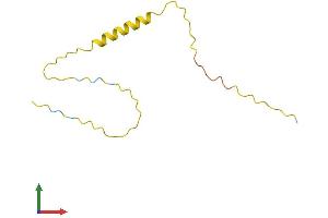 AlphaFold protein structure predicition of Mouse Recombinant Prm3 Protein, UniprotID Q62100