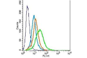 Flow Cytometry (FACS) image for anti-Activin Receptor Type 1C (ACVR1C) (AA 21-120) antibody (ABIN714596)