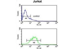 Flow Cytometry (FACS) image for anti-Insulin-Like Growth Factor Binding Protein, Acid Labile Subunit (IGFALS) antibody (ABIN3003239) (IGFALS 抗体)