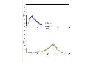 Flow cytometric analysis of HepG2 cells using A2 Antibody (Center)(bottom histogram) compared to a negative control cell (top histogram).