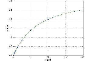 Dimethylarginine Dimethylaminohydrolase 2 (DDAH2) ELISA Kit