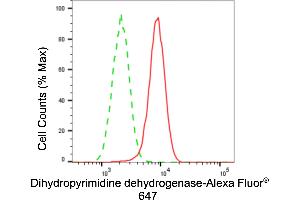 Flow cytometric analysis of dihydropyrimidine dehydrogenase expression in H9c2 cells using dihydropyrimidine dehydrogenase antibody (ABIN7798341), 1:2,000). (Recombinant DPYD 抗体)