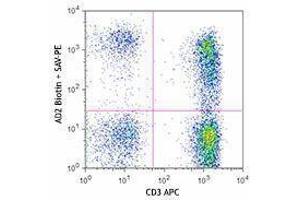 Flow Cytometry (FACS) image for anti-5'-Nucleotidase, Ecto (CD73) (NT5E) antibody (Biotin) (ABIN2660768) (CD73 抗体  (Biotin))