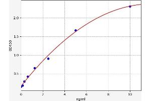Typical standard curve (Lamin B1 ELISA 试剂盒)