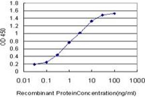 Detection limit for recombinant GST tagged TXN is approximately 0. (TXN 抗体  (AA 1-105))