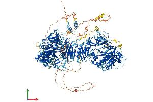 Protein Structure (PS) image for DIP2 Disco-Interacting Protein 2 Homolog A (DIP2A) (AA 1-1571) protein (His tag) (ABIN7553711)