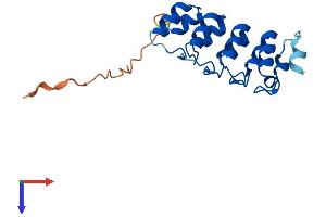 Protein Structure (PS) image for Ankyrin Repeat Domain 39 (ANKRD39) (AA 1-183) protein (His tag) (ABIN7552158)