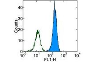 Image no. 1 for anti-Integrin alpha M (ITGAM) antibody (FITC) (ABIN474259) (CD11b 抗体  (FITC))