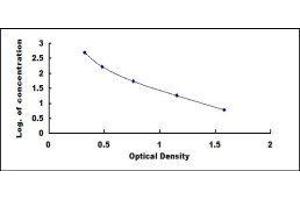 ELISA image for Endothelin 1 (EDN1) ELISA Kit (ABIN416005)