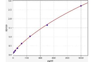 Typical standard curve (SNCA ELISA 试剂盒)