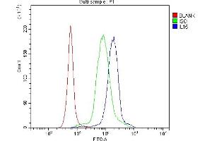 Flow Cytometry analysis of human PBMC cells using anti-IL15 antibody (ABIN7602347). (IL-15 抗体  (AA 70-162))