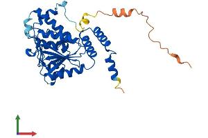 Protein Structure (PS) image for Enoyl CoA Hydratase Domain Containing 1 (ECHDC1) (AA 1-322) protein (His tag) (ABIN7561190)