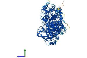 AlphaFold protein structure predicition of Mouse Recombinant Tcaf3 Protein, UniprotID Q6QR59