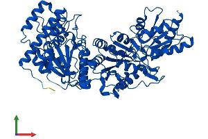 AlphaFold protein structure predicition of Mouse Recombinant Tkt Protein, UniprotID P40142