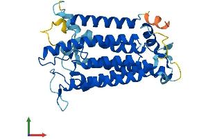 Protein Structure (PS) image for Steroid 5 alpha-Reductase 3 (SRD5A3) (AA 1-318) protein (His tag) (ABIN7550843)