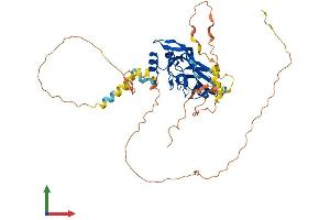 AlphaFold protein structure predicition of Mouse Recombinant Tbx6 Protein, UniprotID P70327