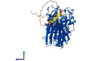 AlphaFold protein structure predicition of Mouse Recombinant Ppm1n Protein, UniprotID Q8BGL1