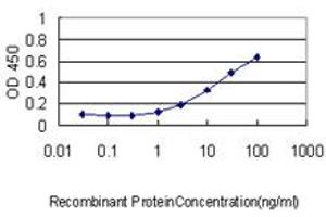 Detection limit for recombinant GST tagged CRYAB is approximately 1ng/ml as a capture antibody. (CRYAB 抗体  (AA 1-175))