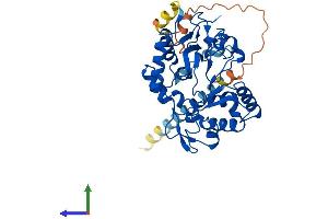 Protein Structure (PS) image for ST8 alpha-N-Acetyl-Neuraminide alpha-2,8-Sialyltransferase 3 (ST8SIA3) (AA 1-380) protein (His tag) (ABIN7557850)