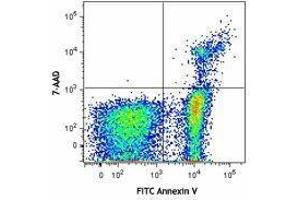 Flow Cytometry (FACS) image for FITC Annexin V Apoptosis Detection Kit with 7-AAD (ABIN2669212)