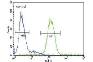 Flow Cytometry (FACS) image for anti-Ceruloplasmin (Ferroxidase) (CP) antibody (ABIN3003153) (Ceruloplasmin 抗体)